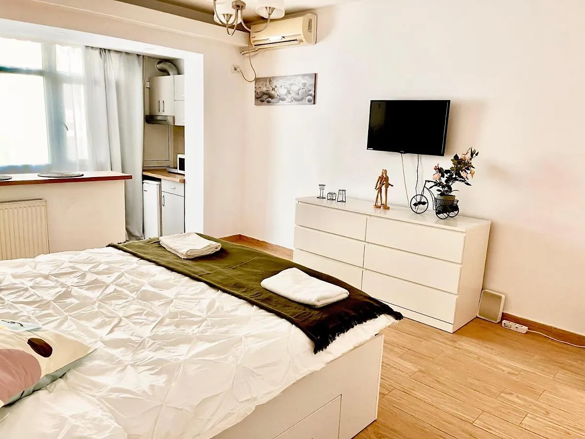 Appartamento Victoriei Studio Bucarest